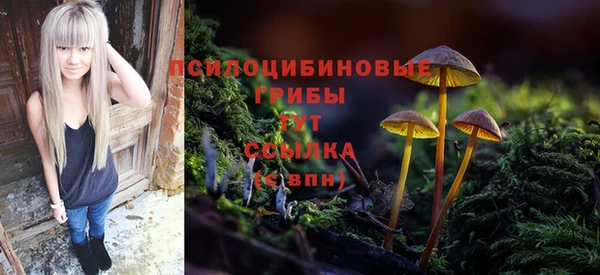 хмурый Бугульма