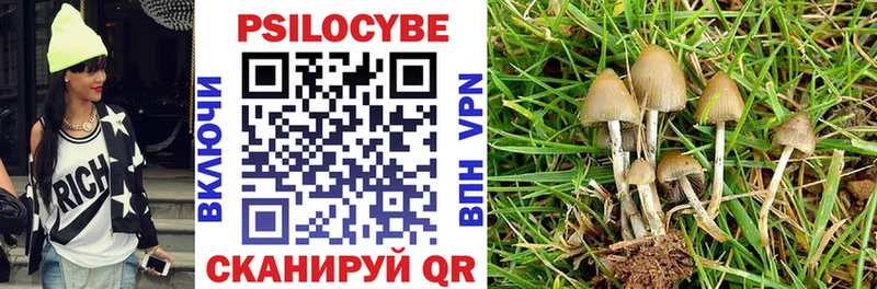 Галлюциногенные грибы Psilocybe  мега рабочий сайт  Нерюнгри  наркотики 