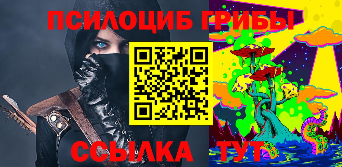 Галлюциногенные грибы Cubensis Нерюнгри