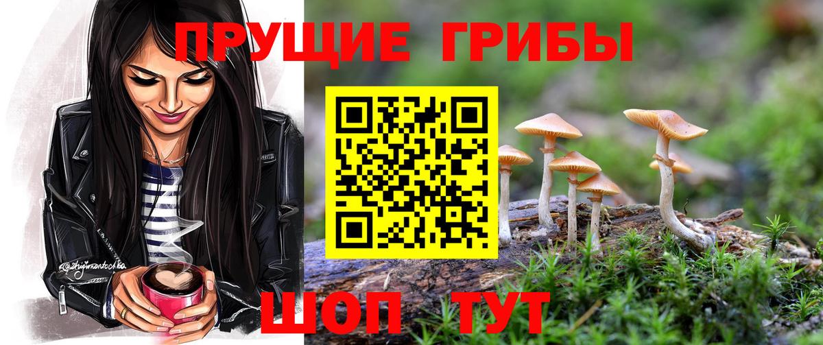 Галлюциногенные грибы прущие грибы  Вход с VPN  Нерюнгри 